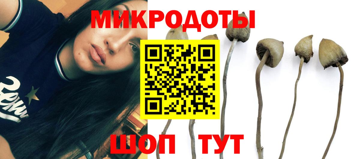 Архангельск  Псилоцибиновые грибы Magic Shrooms  Вход с VPN 